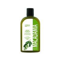 Strega Macadamia Repair Shampoo 320ml