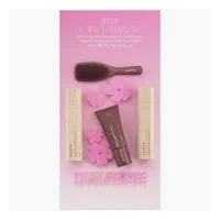 Davroe Repair With Love Gift Set 2026