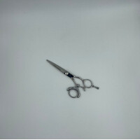 Mister Malcolm Double Swivel Scissor Silver 5.5