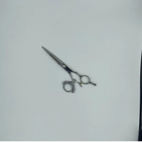 Mister Malcolm Double Swivel Scissor Silver 6.0